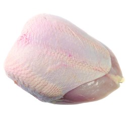       Turkey: Raw Bone-in Turkey Breast