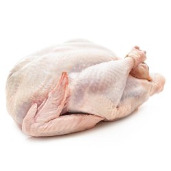       Whole Fresh Amish Turkey